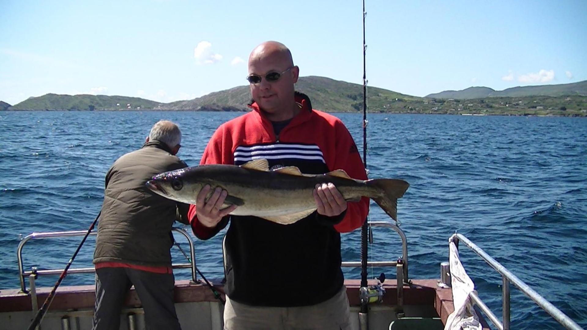 Sneem River Lodge Bed&Breakfast Exterior foto